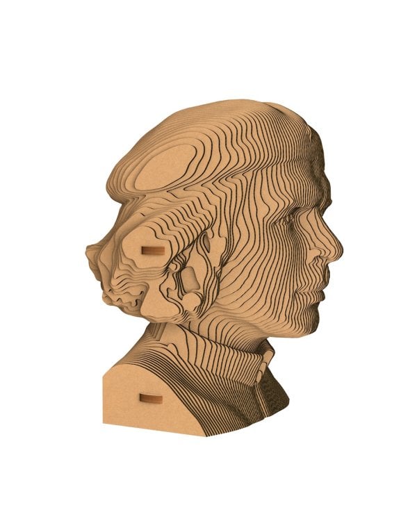 3D конструктор. Сборный бюст. ЧеГевара