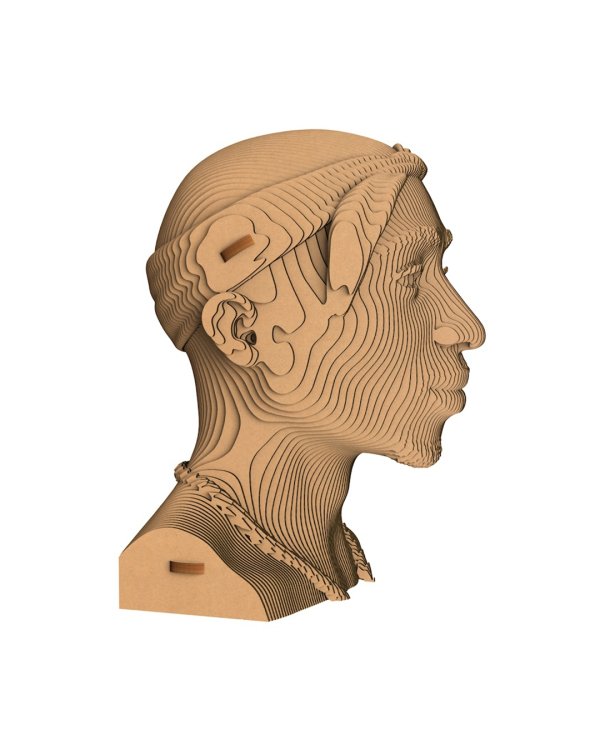 3D конструктор. Сборный бюст. Тупак Шакур