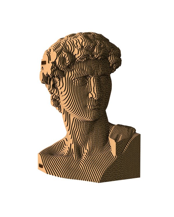 3D конструктор. Сборный бюст. Давид