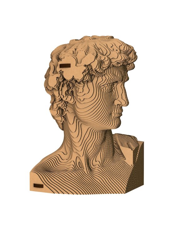 3D конструктор. Сборный бюст. Давид