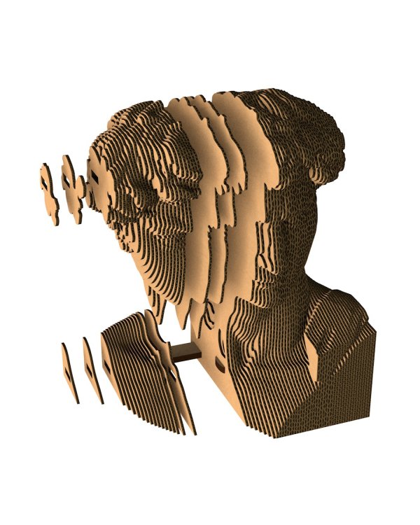 3D конструктор. Сборный бюст. Давид