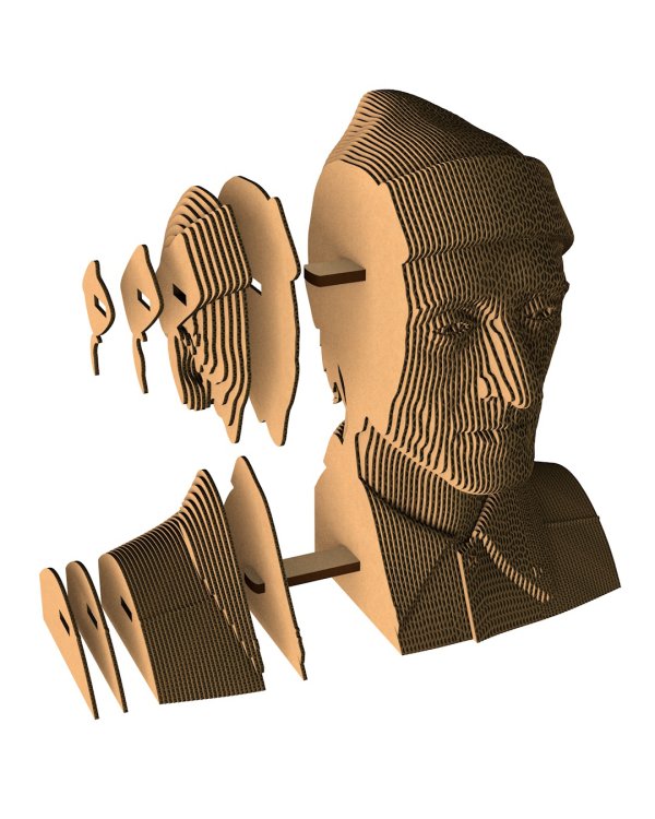 3D конструктор. Сборный бюст. Кусто