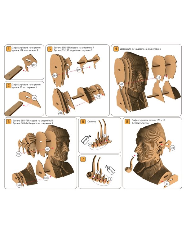 3D конструктор. Сборный бюст. Кусто