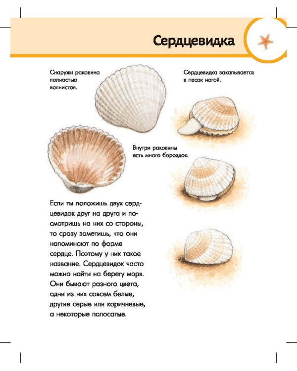 Морской мир