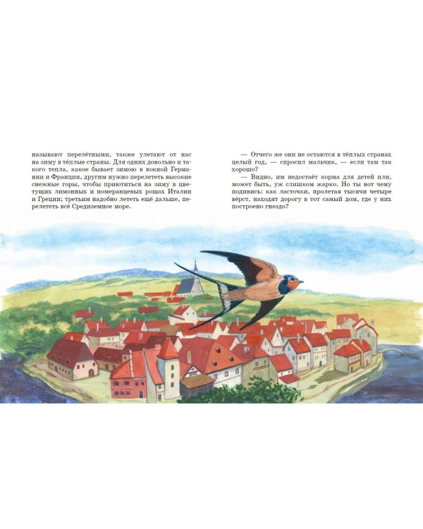 Рассказы и сказки о животных