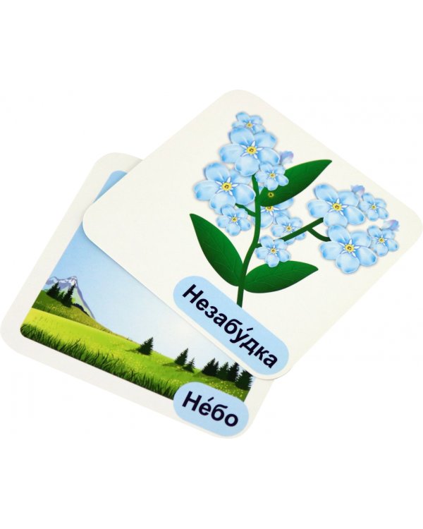 Мои первые слова. 12 развивающих карточек с картинками голубого цвета, стихами, загадками, рисунками