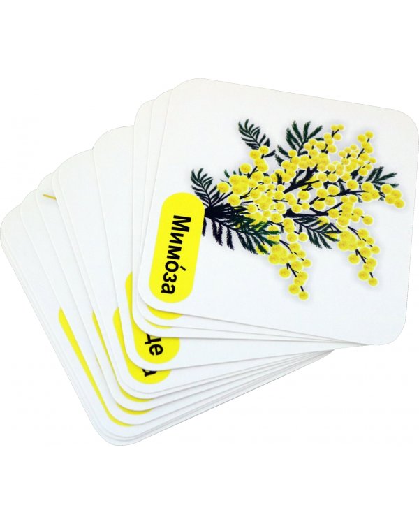 Мои первые слова. 12 развивающих карточек с картинками желтого цвета, стихами, загадками, рисунками