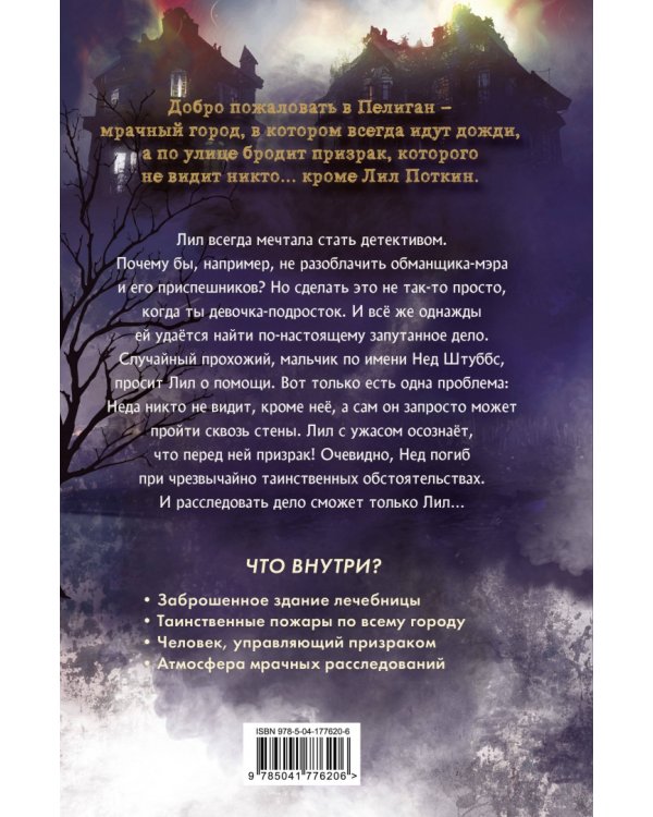 Поткин и Штуббс. Тайна мальчика-привидения