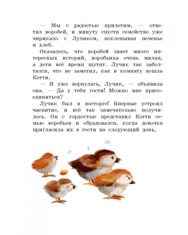 Мировые мишки. Истории со всего света