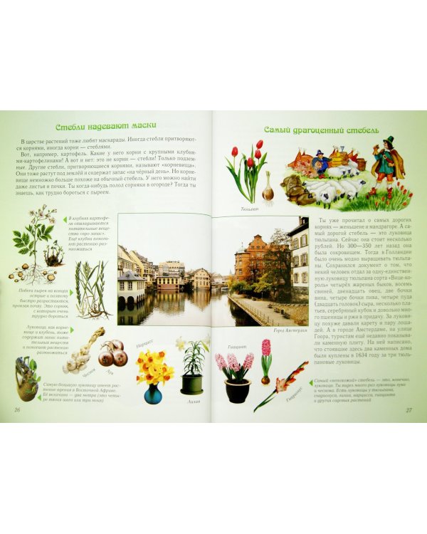 Занимательная ботаника для малышей