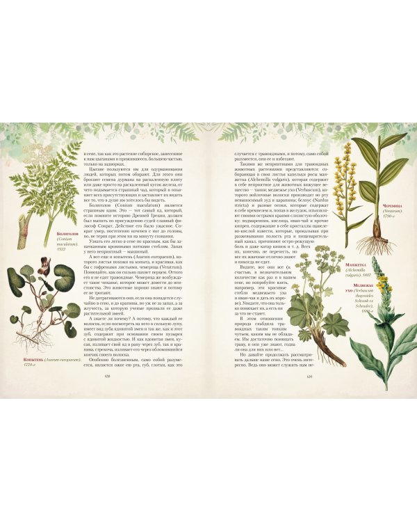 Дары русского леса. Грибы, ягоды и целительные растения