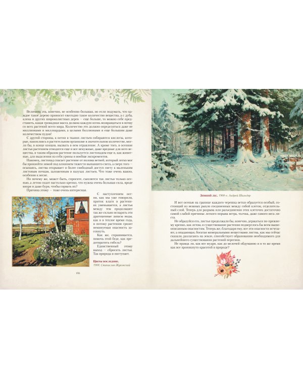 Дары русского леса. Грибы, ягоды и целительные растения