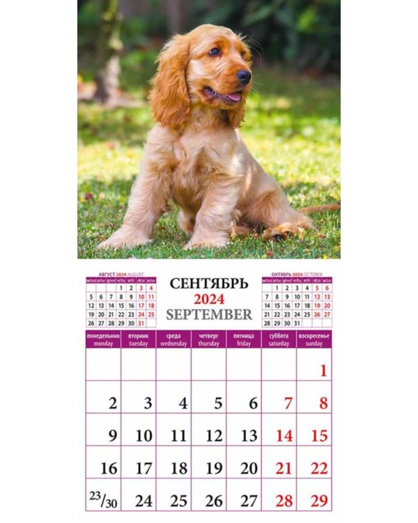 2024 Календарь Щенки