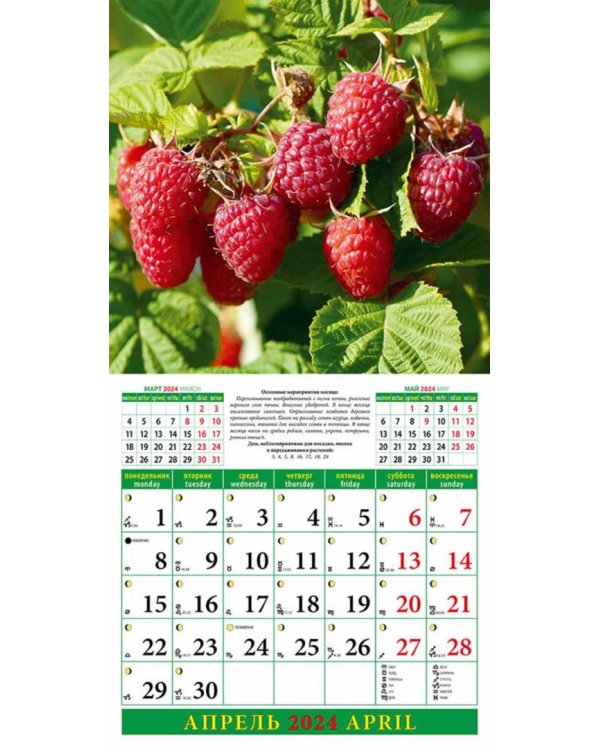2024 Лунный календарь садовода и огородника