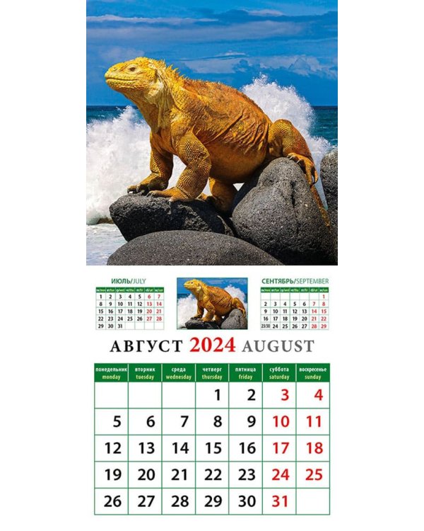 2024 Календарь Год дракона