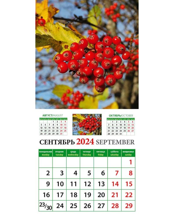 2024 Календарь природы