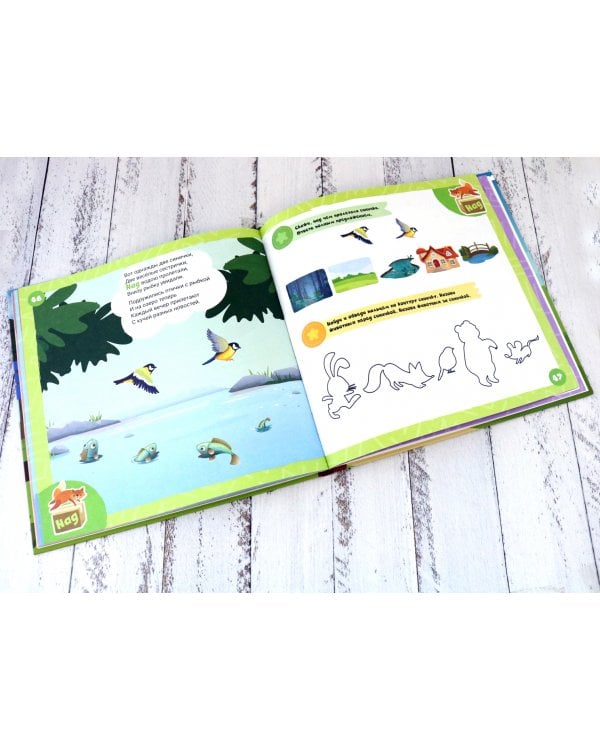 Прятки в лесу