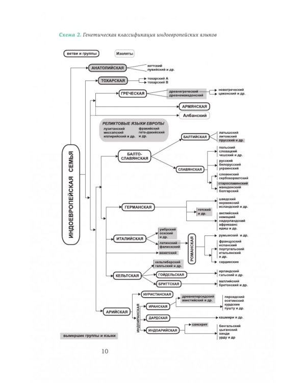 Сто языков. Вселенная слов и смыслов
