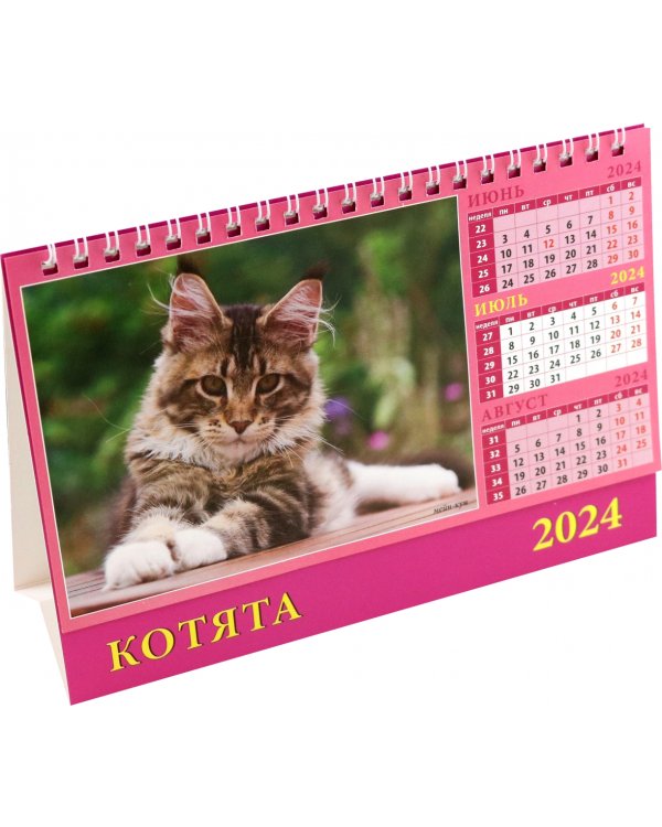 Календарь настольный на 2024 год Котята