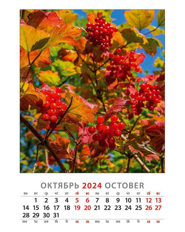 Календарь на 2024 год Календарь природы
