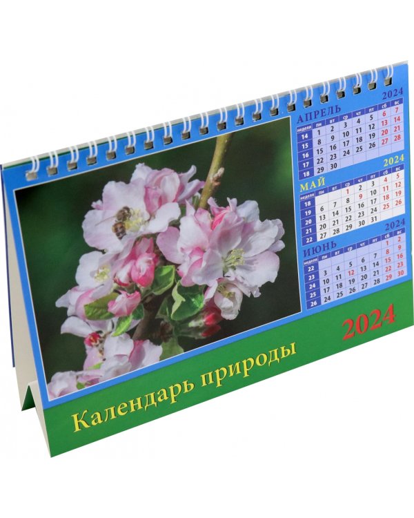 Календарь настольный на 2024 год Календарь природы