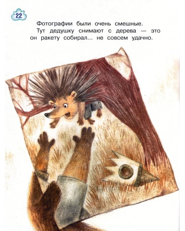 Мечта ёжика