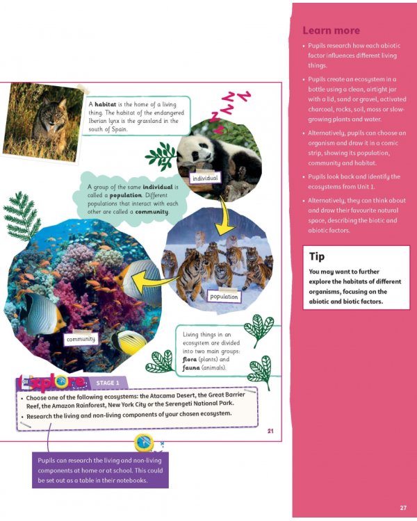 Science Skills. Level 5. Teacher's Book with Downloadable Audio