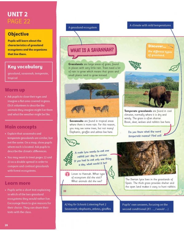 Science Skills. Level 5. Teacher's Book with Downloadable Audio