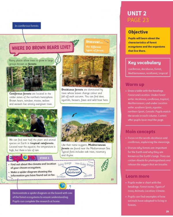 Science Skills. Level 5. Teacher's Book with Downloadable Audio