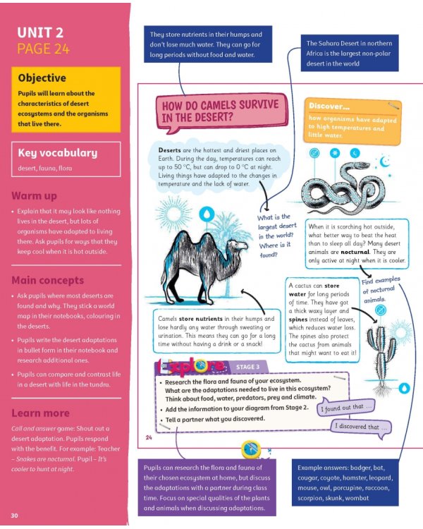 Science Skills. Level 5. Teacher's Book with Downloadable Audio
