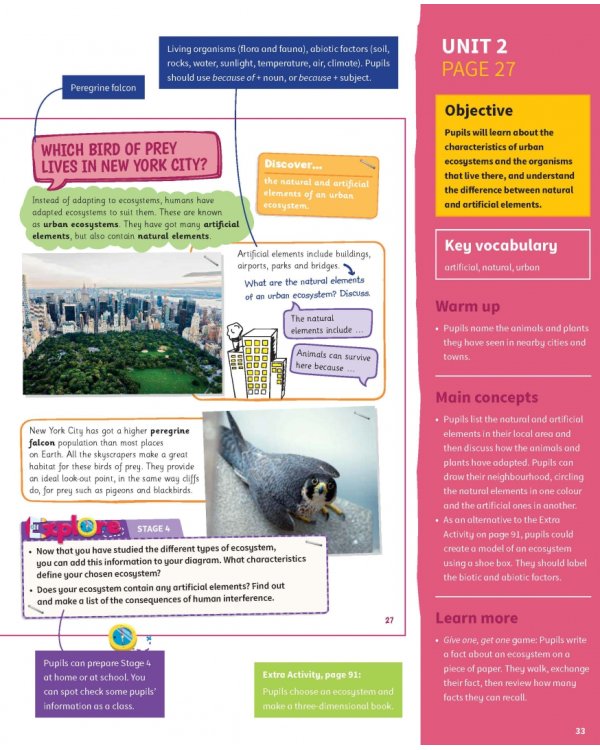 Science Skills. Level 5. Teacher's Book with Downloadable Audio