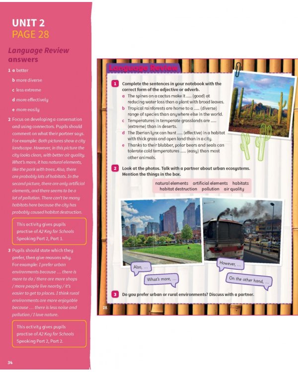 Science Skills. Level 5. Teacher's Book with Downloadable Audio