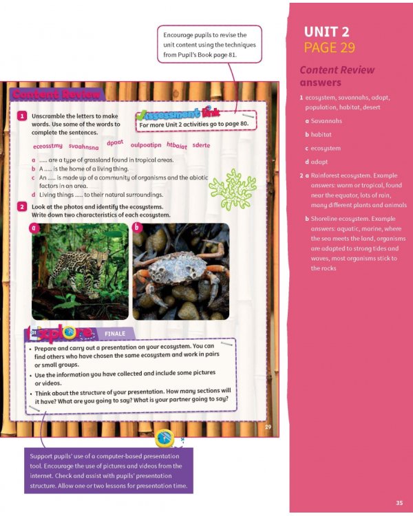 Science Skills. Level 5. Teacher's Book with Downloadable Audio