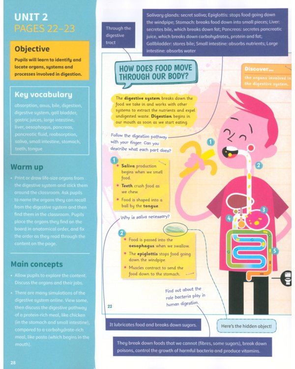 Science Skills. Level 6. Teacher's Book with Downloadable Audio