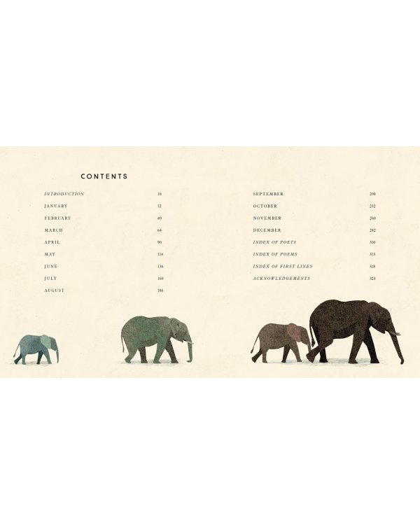 Tiger, Tiger, Burning Bright