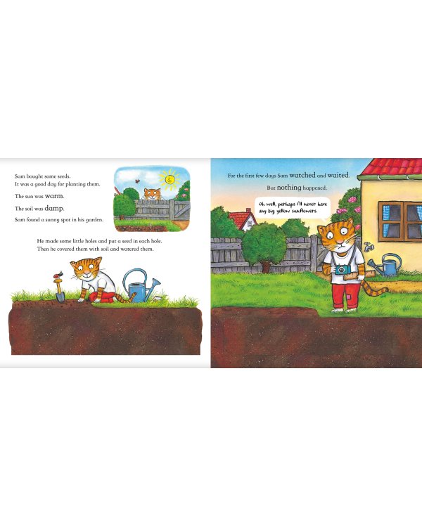 Sam Plants a Sunflower