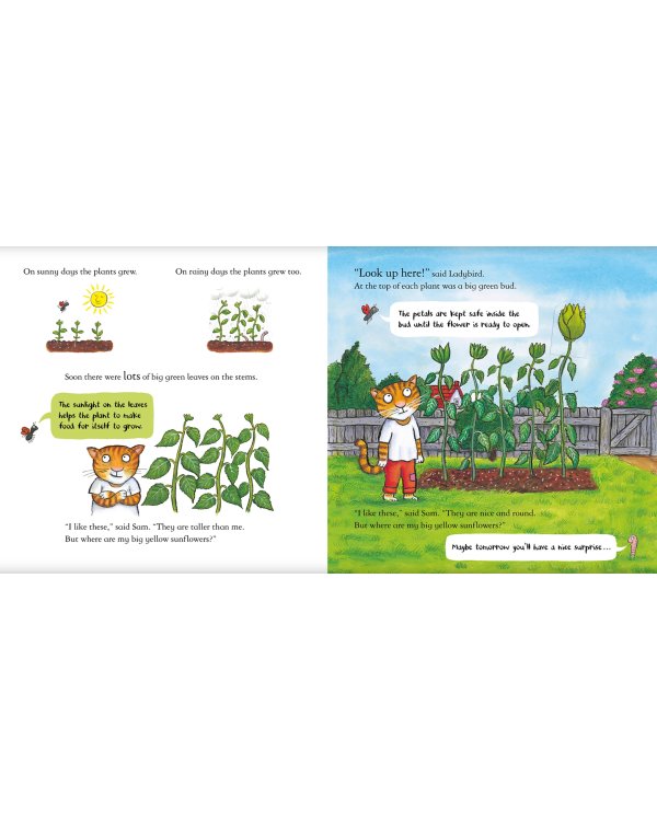 Sam Plants a Sunflower