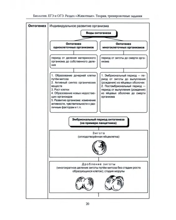 ЕГЭ и ОГЭ. Биология. Раздел «Животные». Теория, тренировочные задания