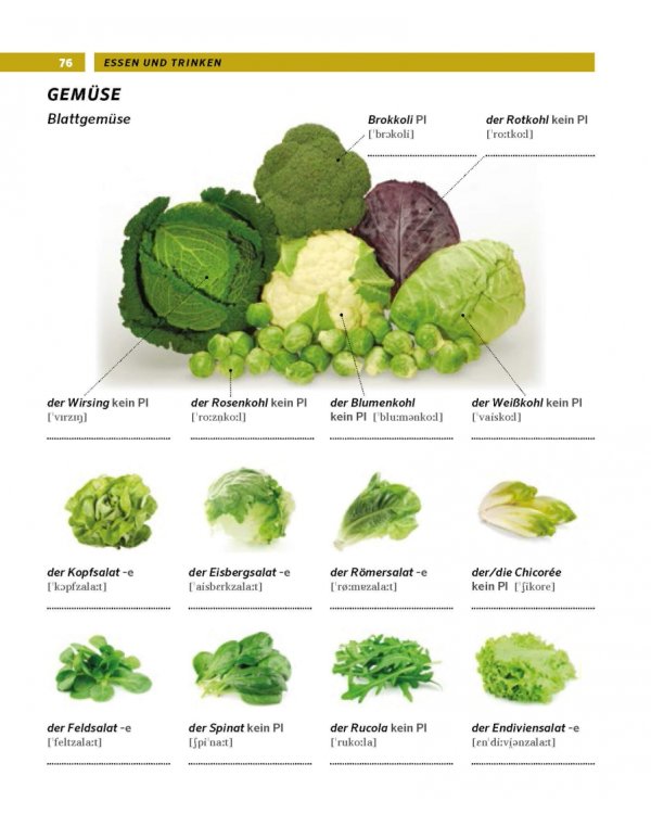 PONS Bildworterbuch Deutsch als Fremdsprache. 8.000 Worter und Wendungen