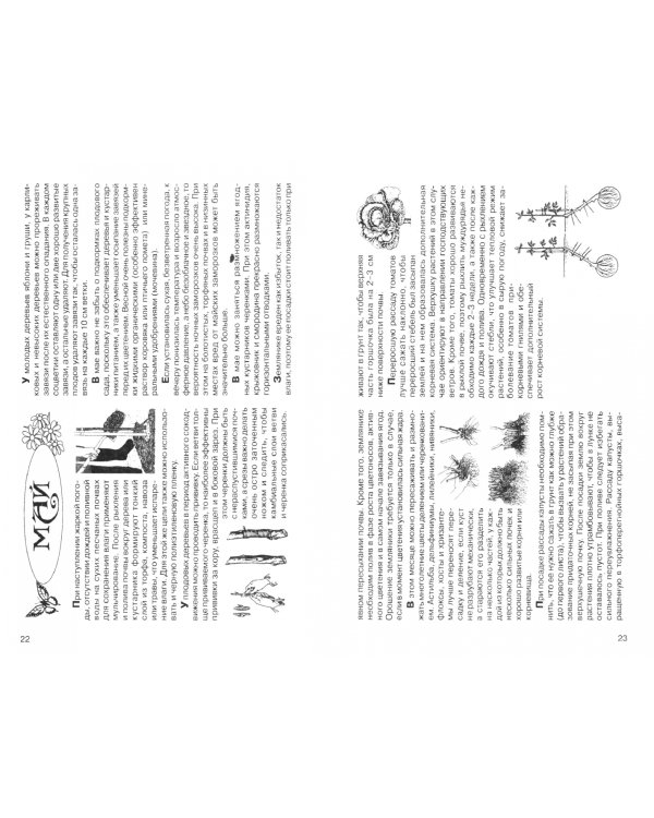 Календарь дачника и цветовода на каждый день 2024