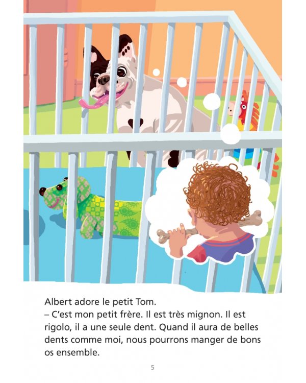 Albert et Folio. Joyeux anniversaire ! A1 + CD audio