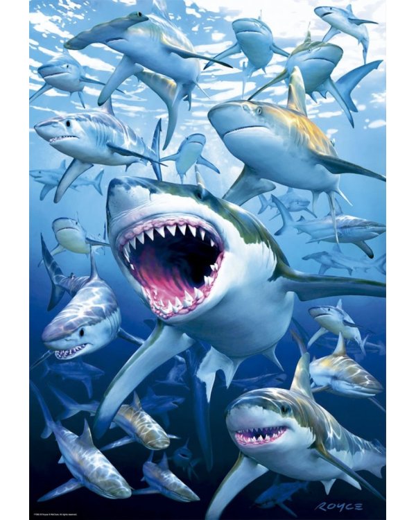 Пазл-500 Стая акул