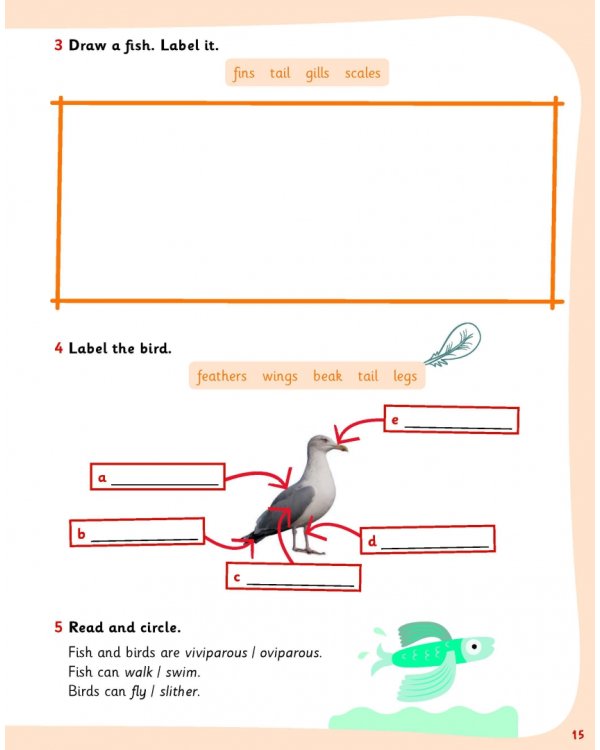 Science Skills. Level 2. Activity Book with Online Activities