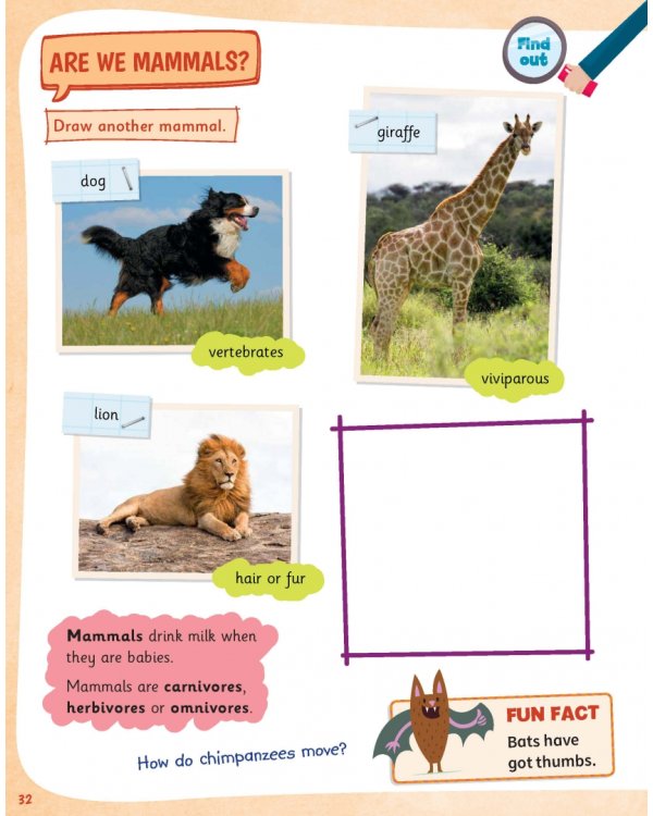 Science Skills. Level 2. Pupil's Book