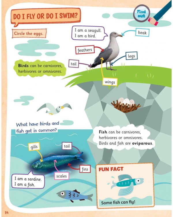 Science Skills. Level 2. Pupil's Book