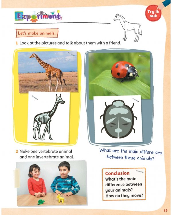 Science Skills. Level 2. Pupil's Book