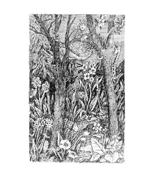 Волшебный мелок