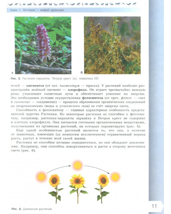 Биология. 6 класс. Учебник. Базовый уровень. ФГОС