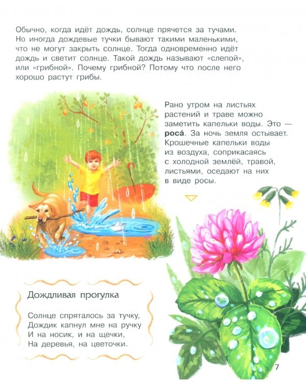 Явления природы