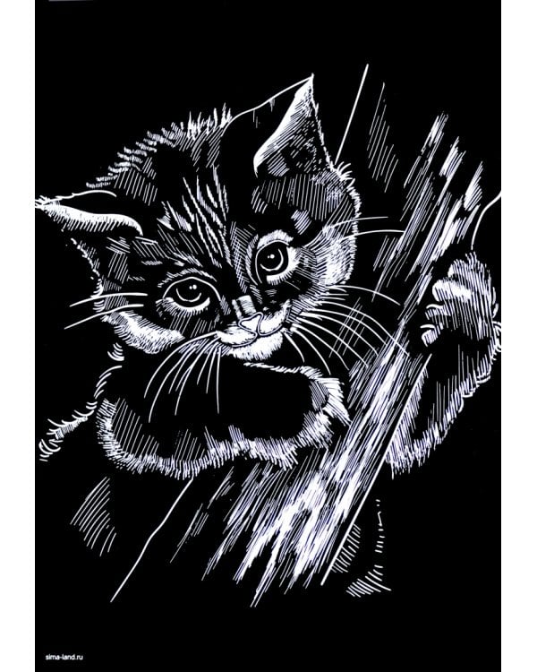 Гравюра Котёнок с металлическим эффектом радуга, А4